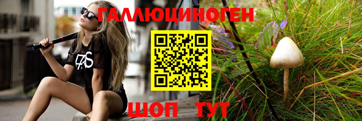 Псилоцибиновые грибы MAGIC MUSHROOMS  Вход с VPN  даркнет сайт  Петровск  Псилоцибиновые грибы мухоморы 